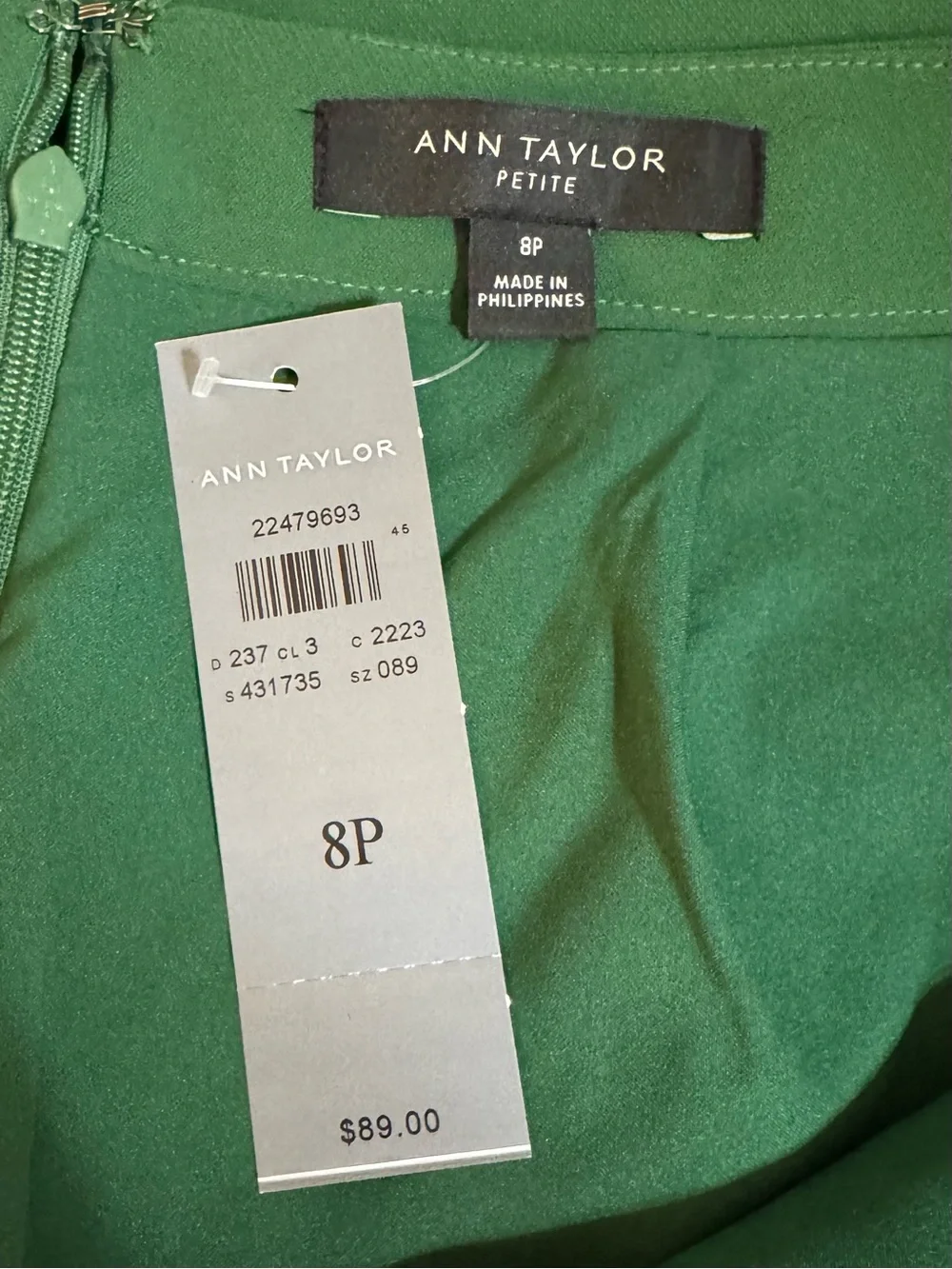 NWT Ann Taylor Skirt (8P)